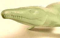 Invicta Liopleurodon